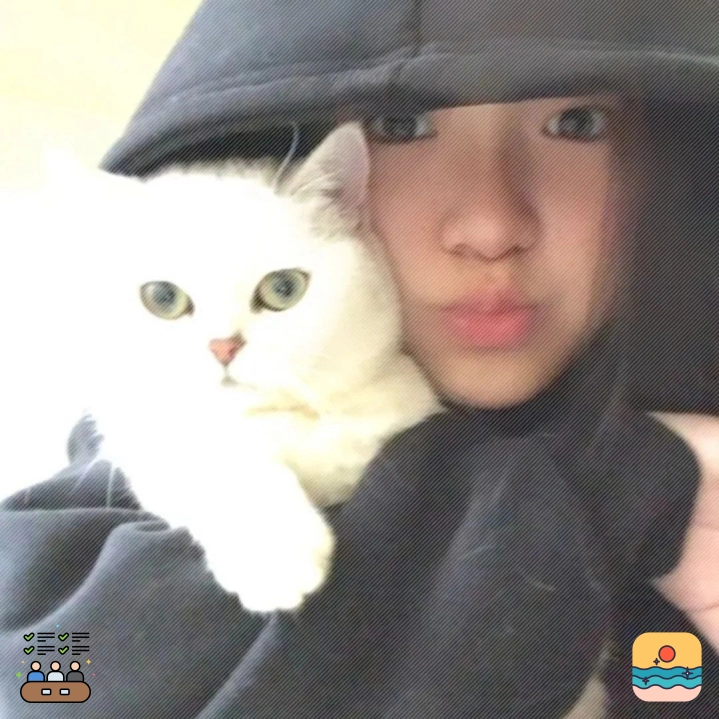 苏先生